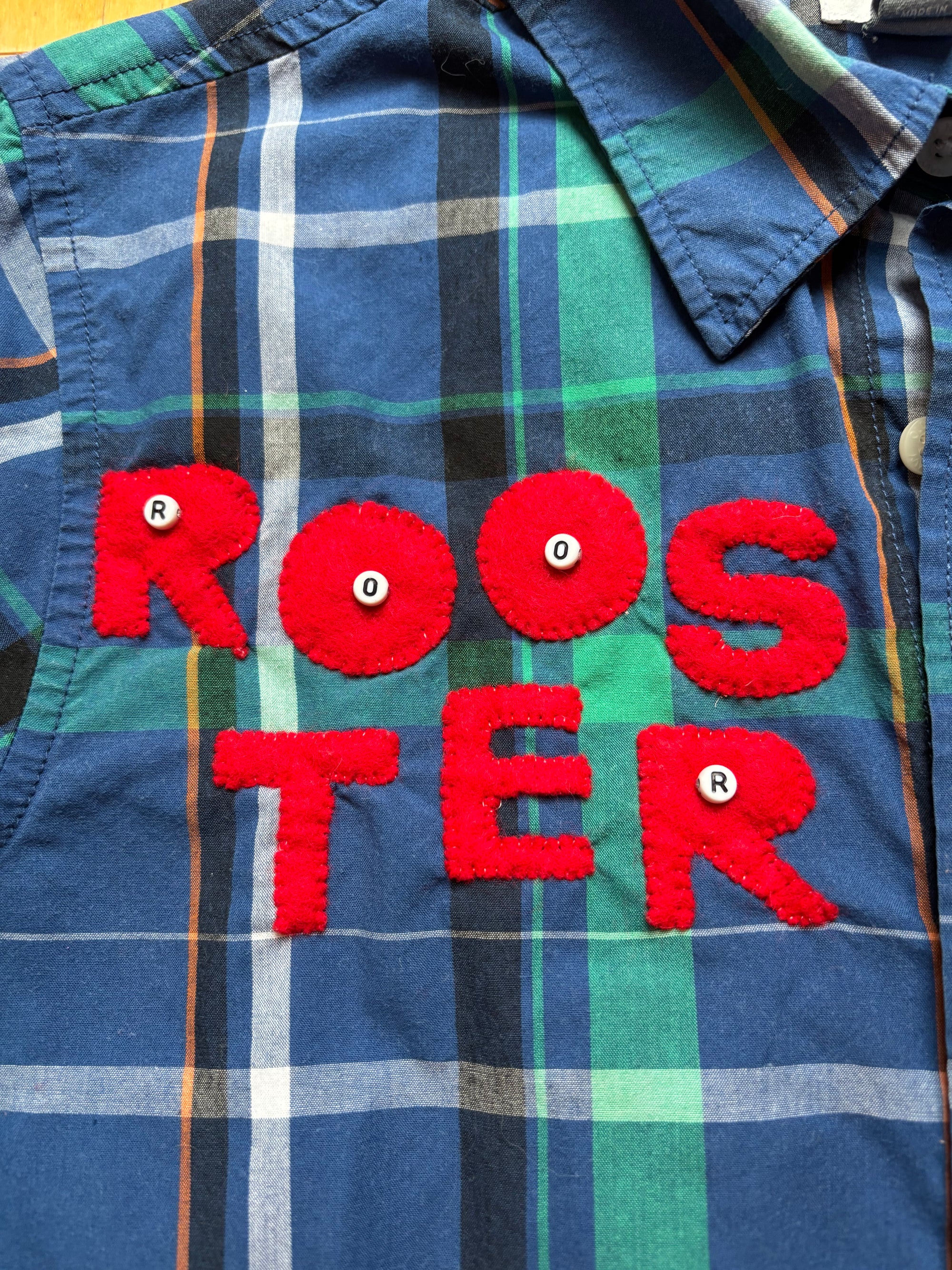 Blue and Green Plaid Rooster Eyed Rob Bear Shirt by Cat Singh