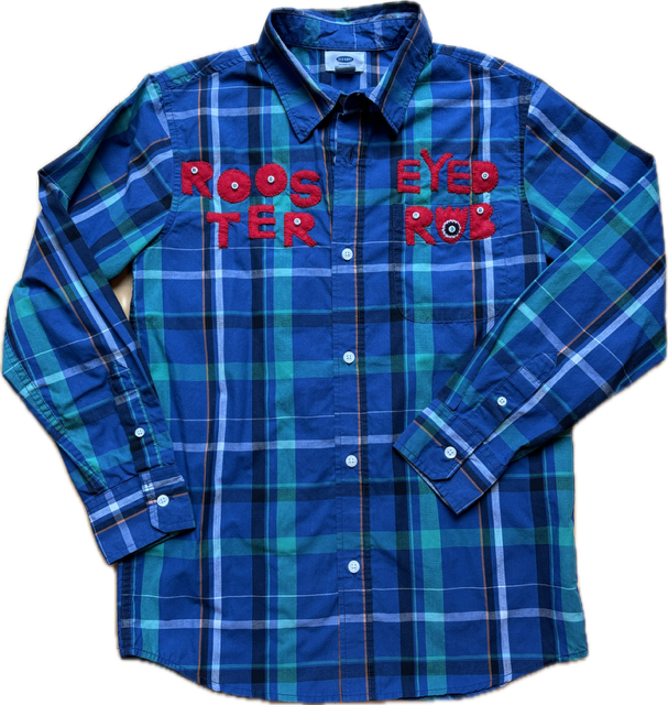Blue and Green Plaid Rooster Eyed Rob Bear Shirt by Cat Singh